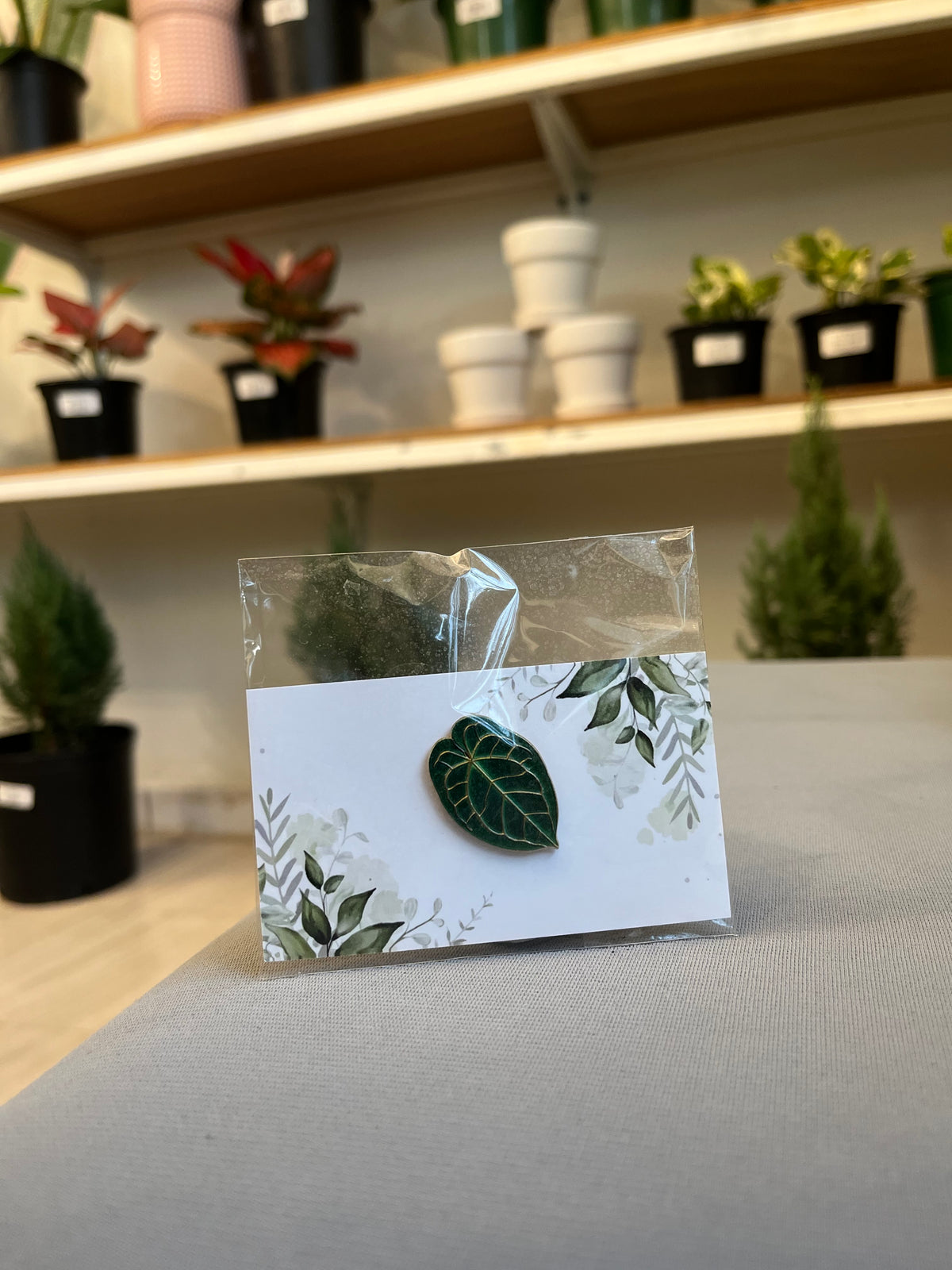 Pin Hoja de Anthurium
