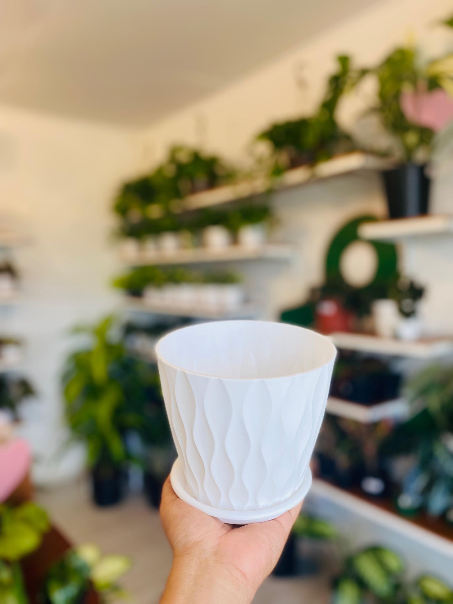 Sandy Pot White