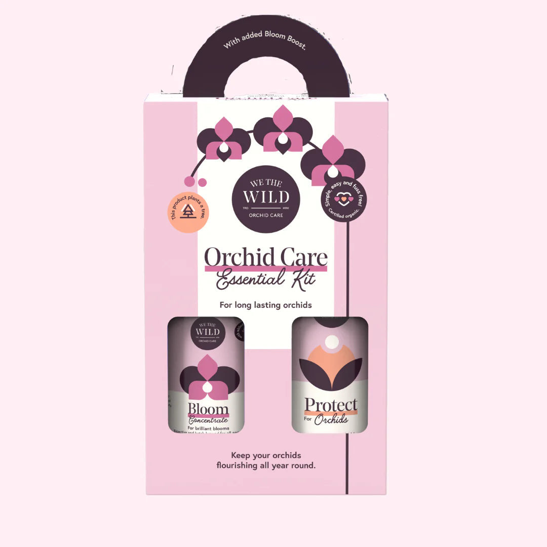 Orchid Essential Care Duo