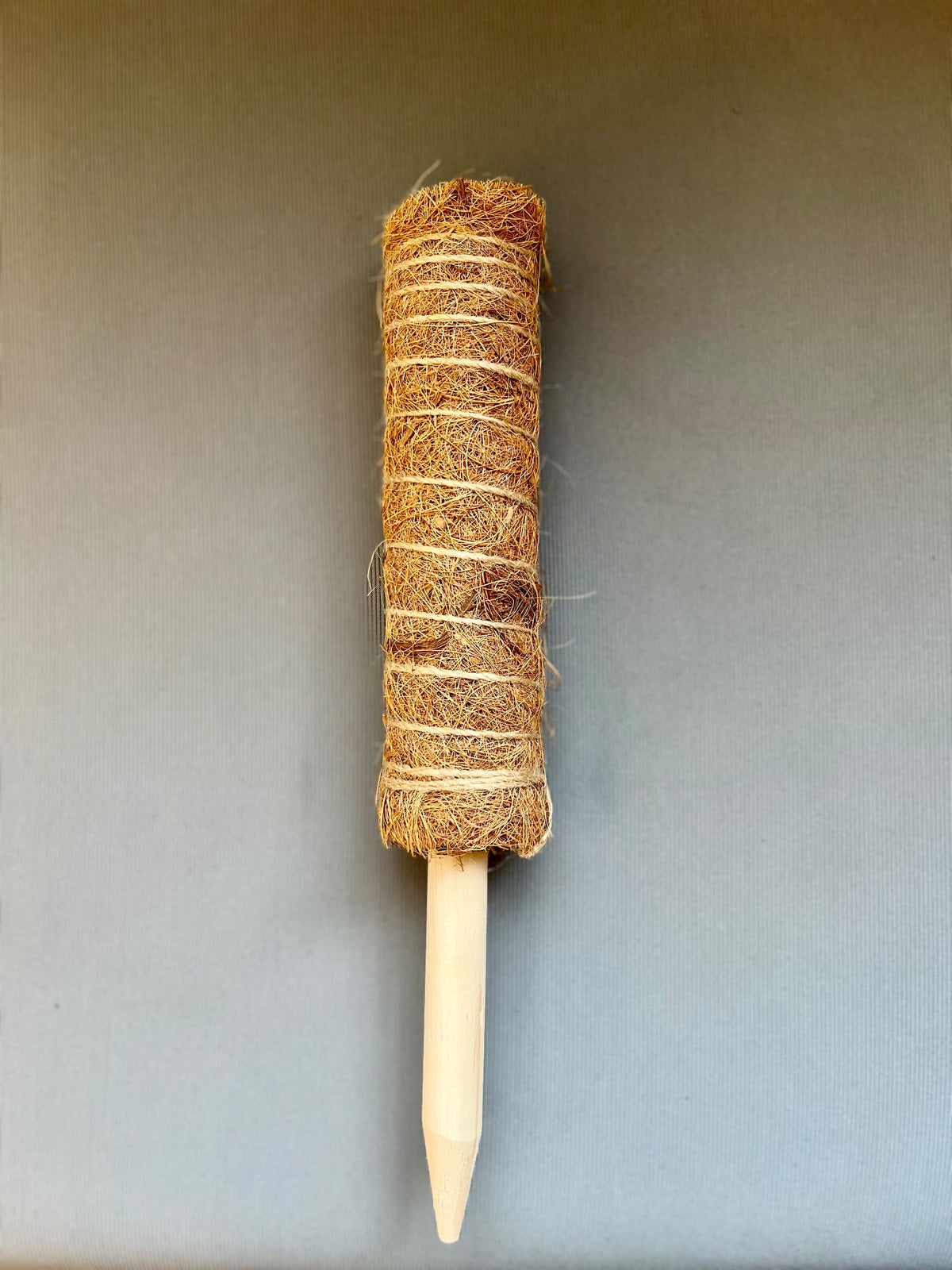 Moss Pole 8”