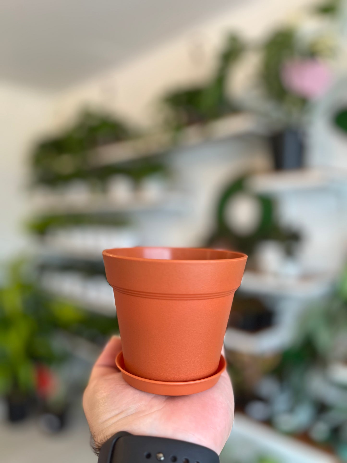 Brianna Pot Terracota