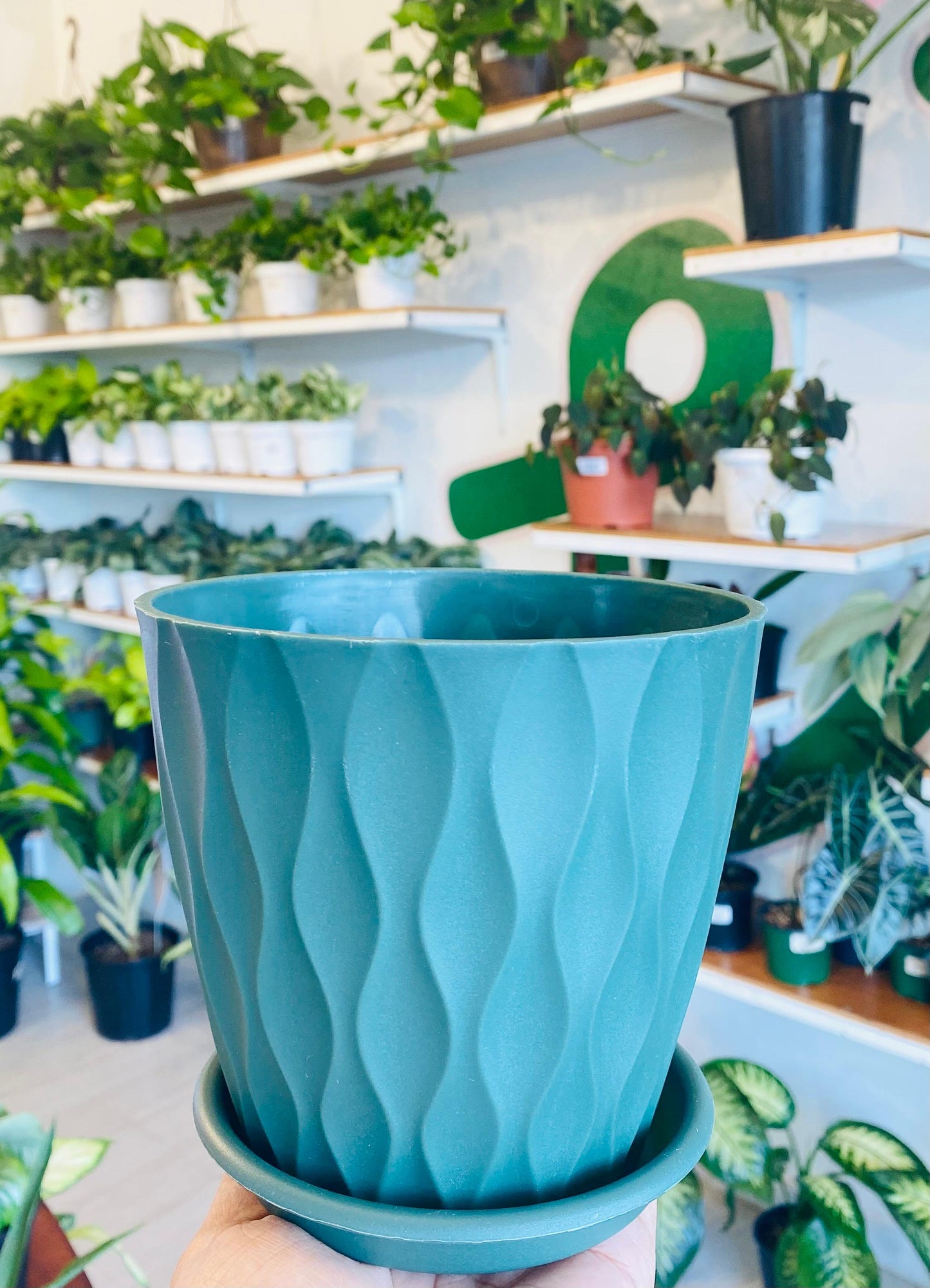 Sandy Pot Green