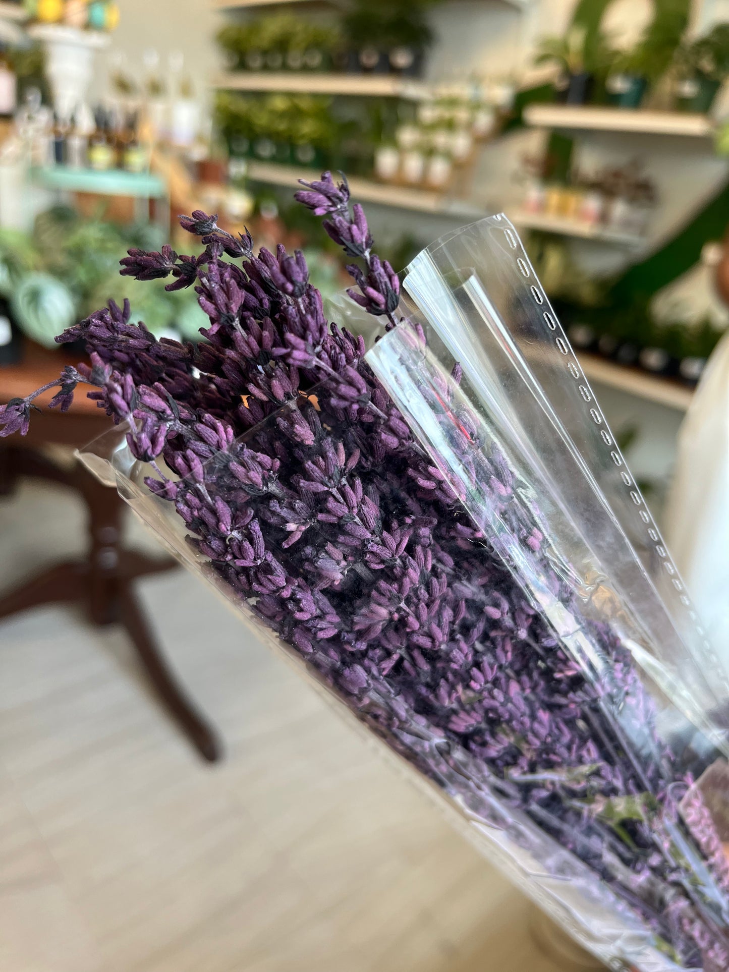 Dried Lavander