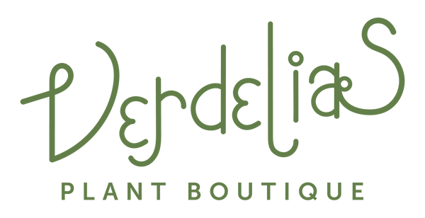 Verdelias Plant Boutique