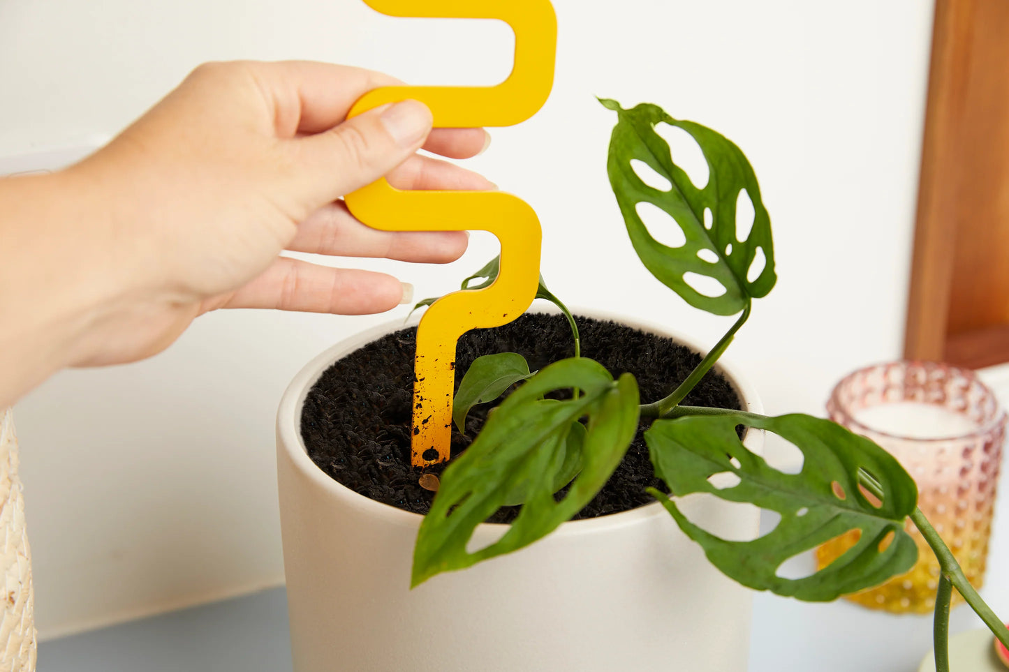 Houseplant Grow Pole