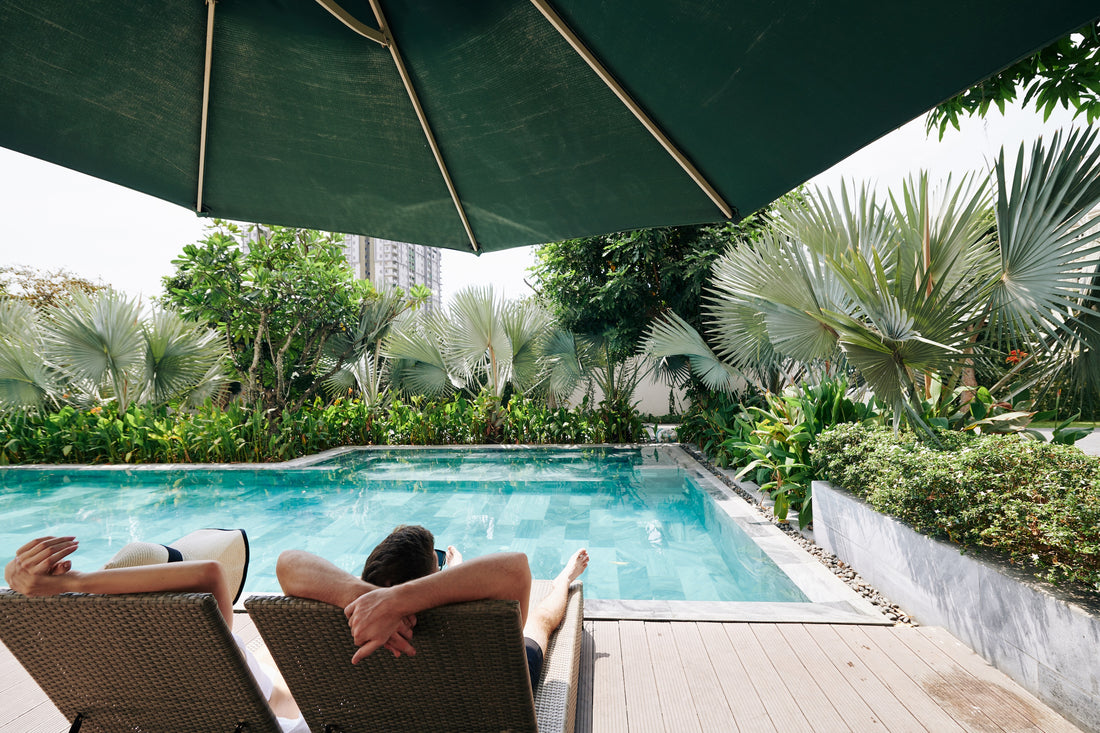 Las Mejores Plantas para Tu Área de Piscina o Terraza en Tendencia para el 2024