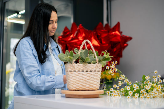 ¿Por Qué Regalar Plantas en Navidad es una Gran Idea?