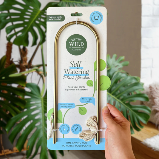Self Watering Plant Climber
