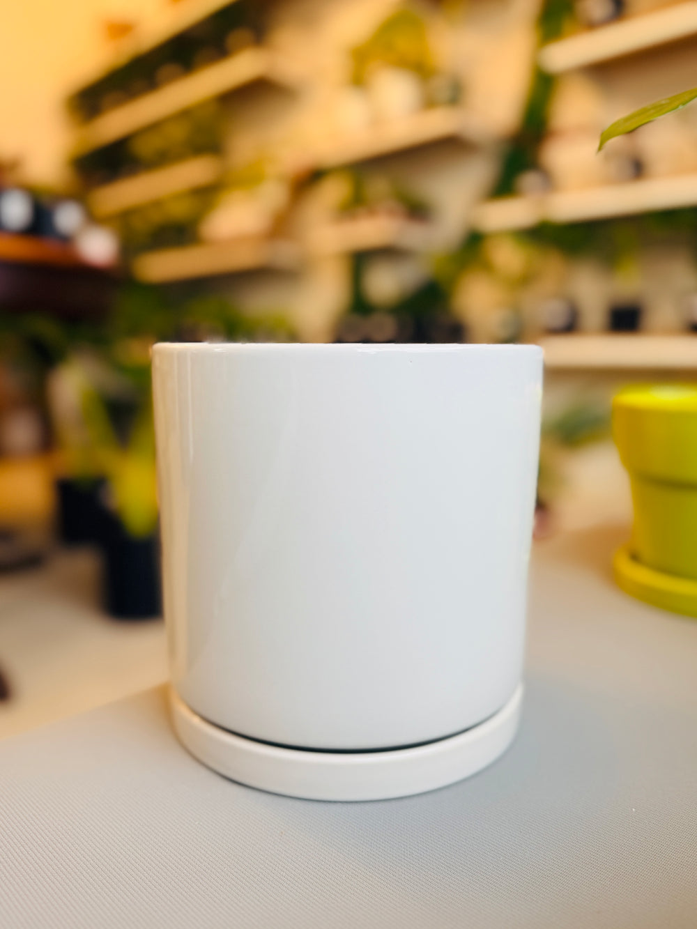 Andy Pot White Glossy 7”