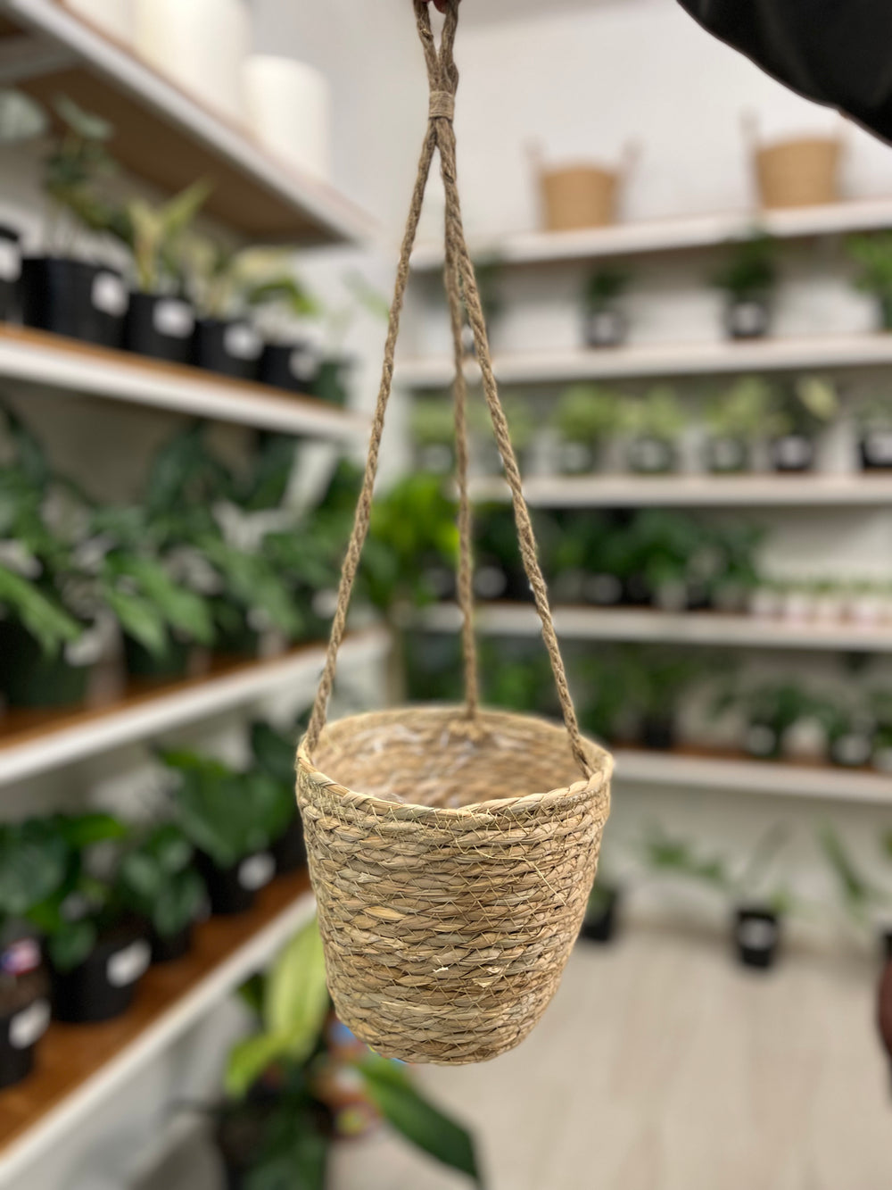 Hanging Planter Basket