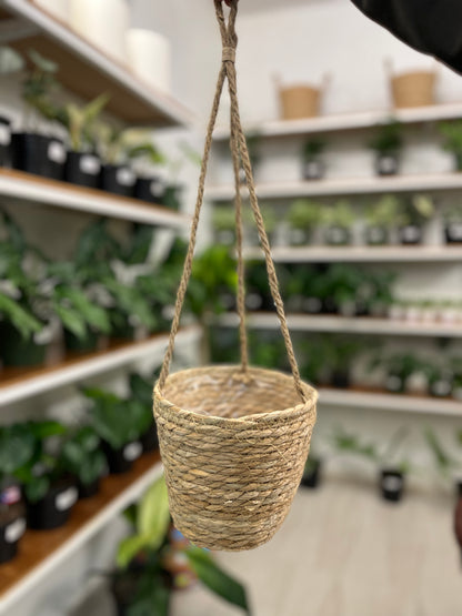 Hanging Planter Basket