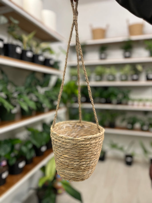 Hanging Planter Basket