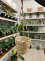 Hanging Planter Basket