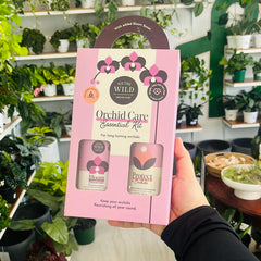 Orchid Essential Care Duo