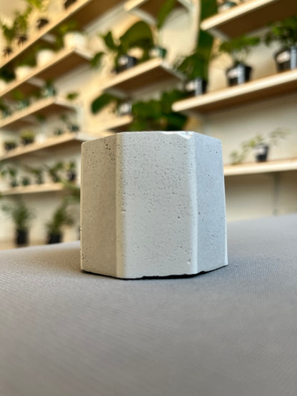 Octa Mini Pot- Casa Luz