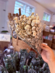 Natural Dried Gypsophila Flower
