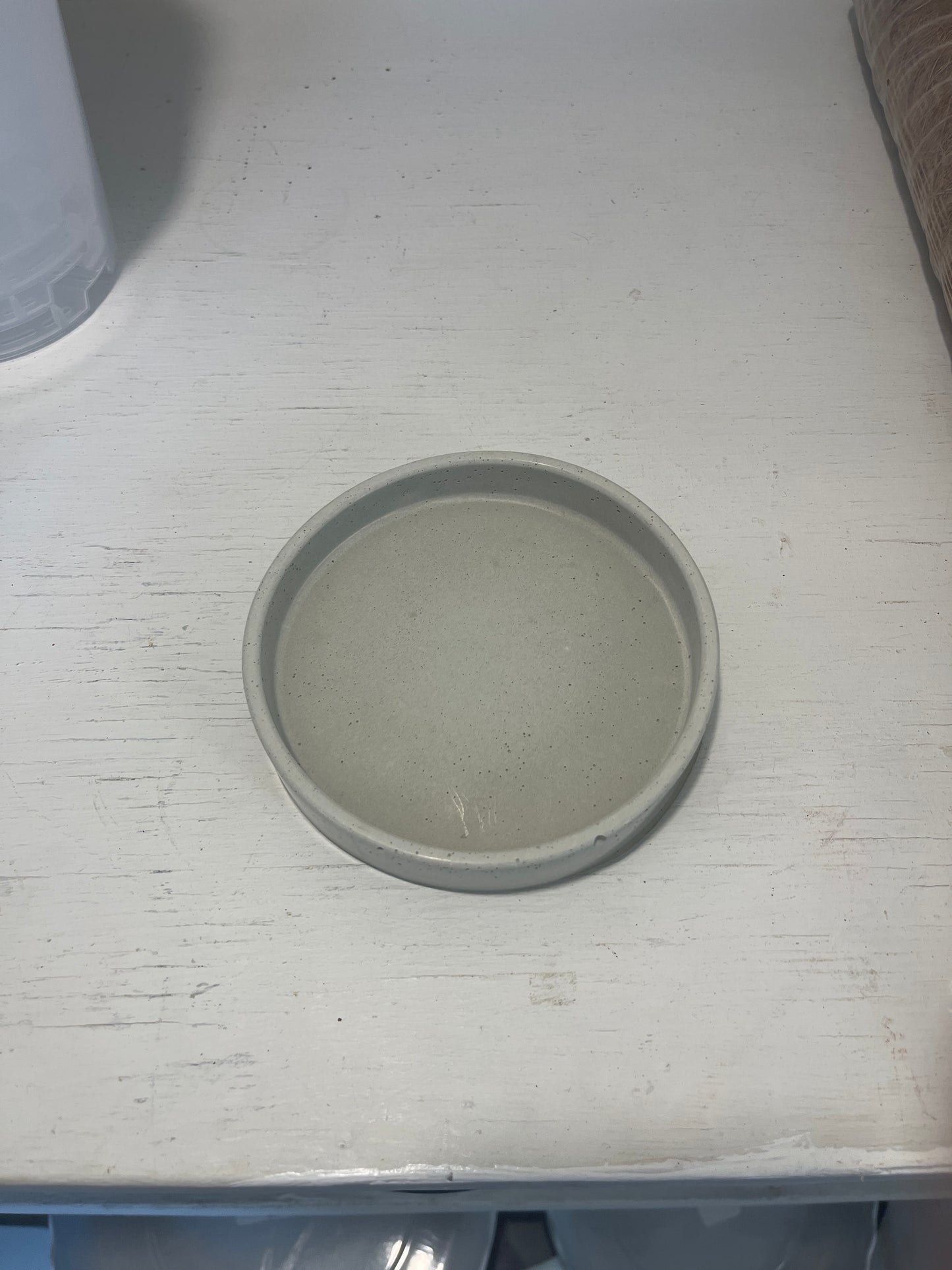 Concrete Saucer - Casa Luz