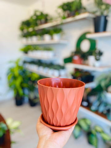 Sandy Pot Terracota