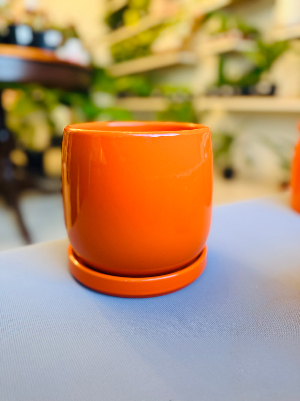 Orange Dream Pot