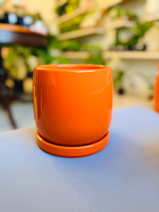Orange Dream Pot