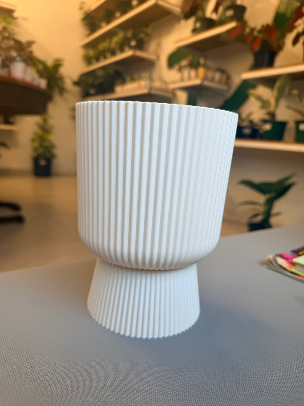 Adela Pot 6”