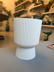 Adela Pot 6”