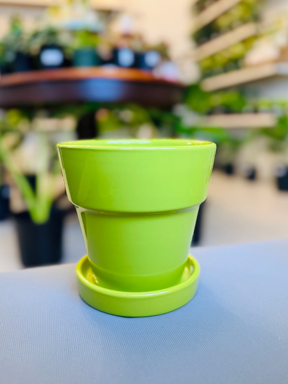 Esperanza Pot 6”