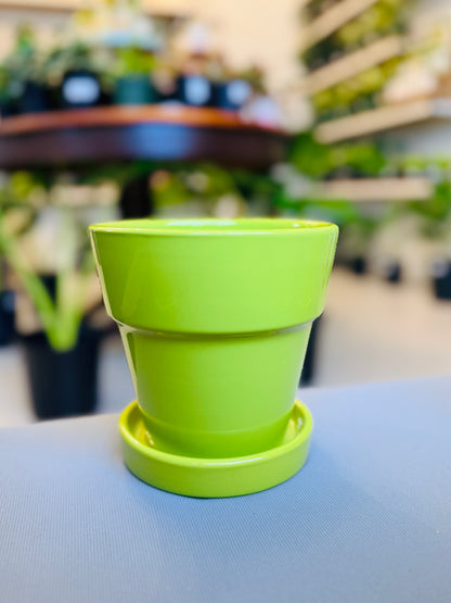 Esperanza Pot 6”