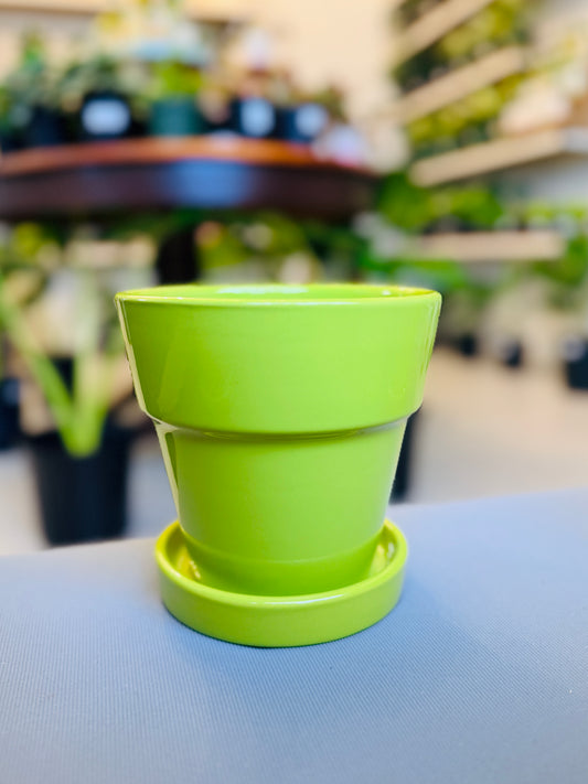 Esperanza Pot 6”