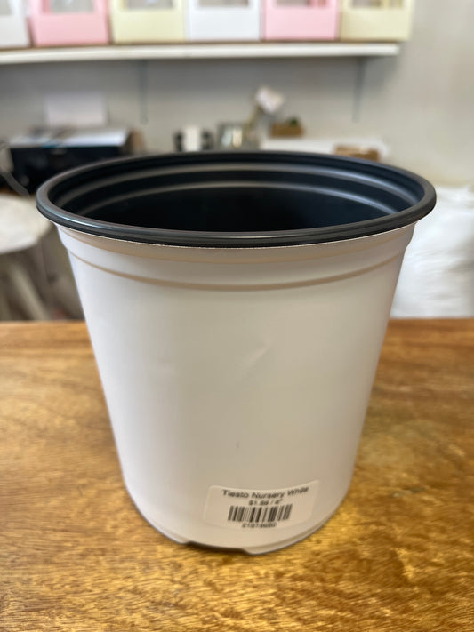 Tiesto Nursery Blanco 1g