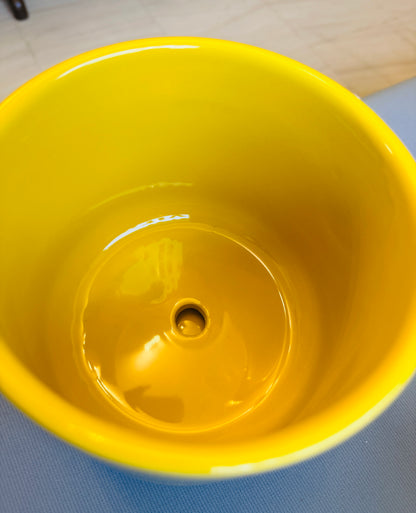 Sunny Day Pot 6”