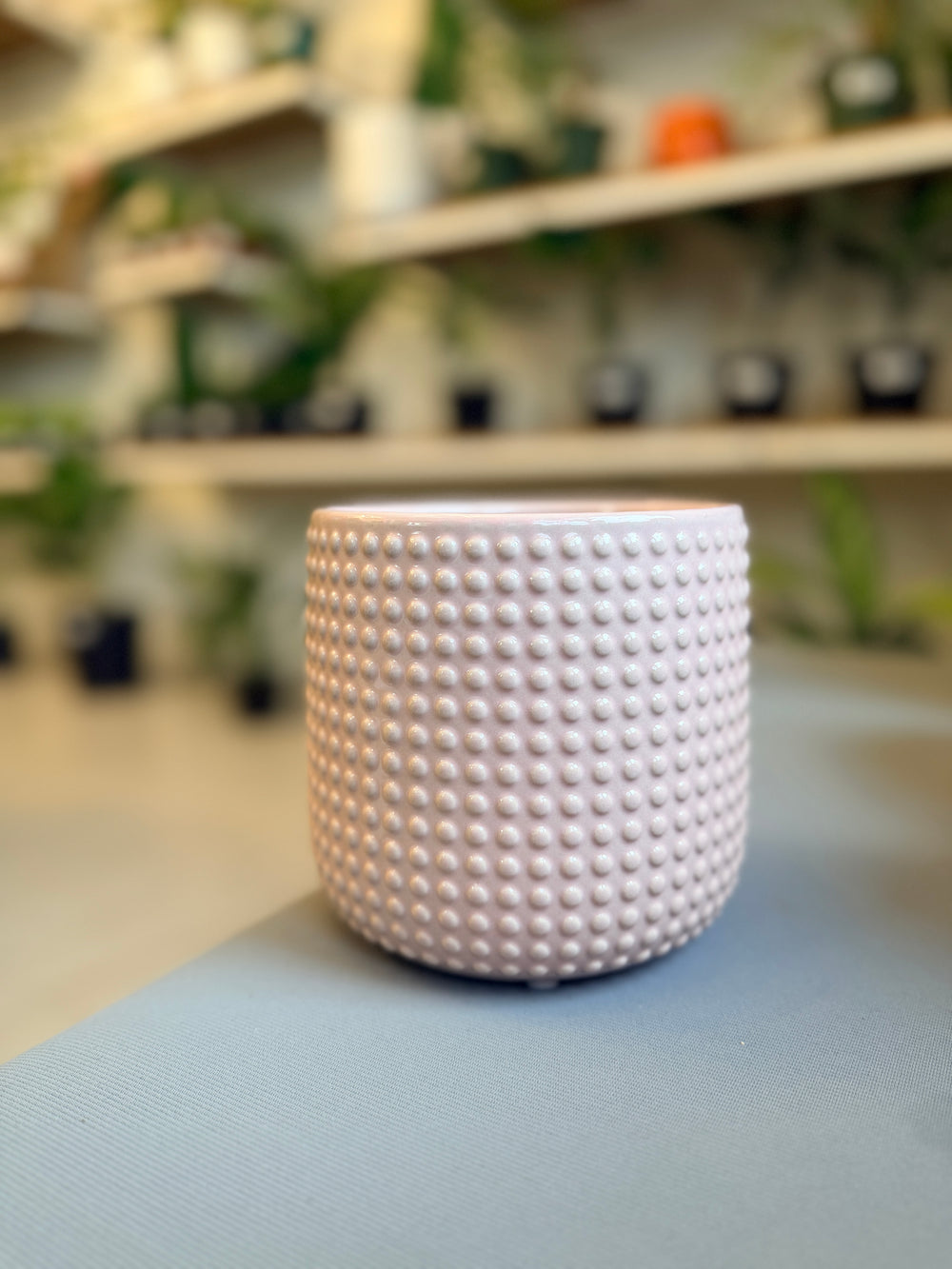 Dots Light Pink 6”