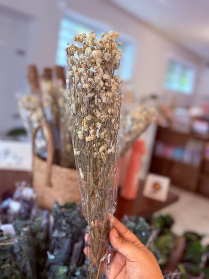 Natural Dried Gypsophila Flower