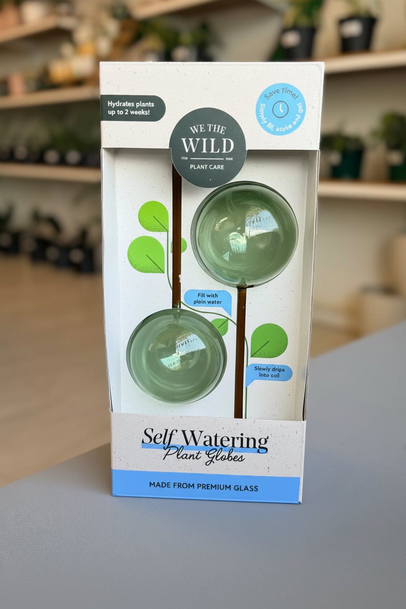 Self Watering Plant Globes