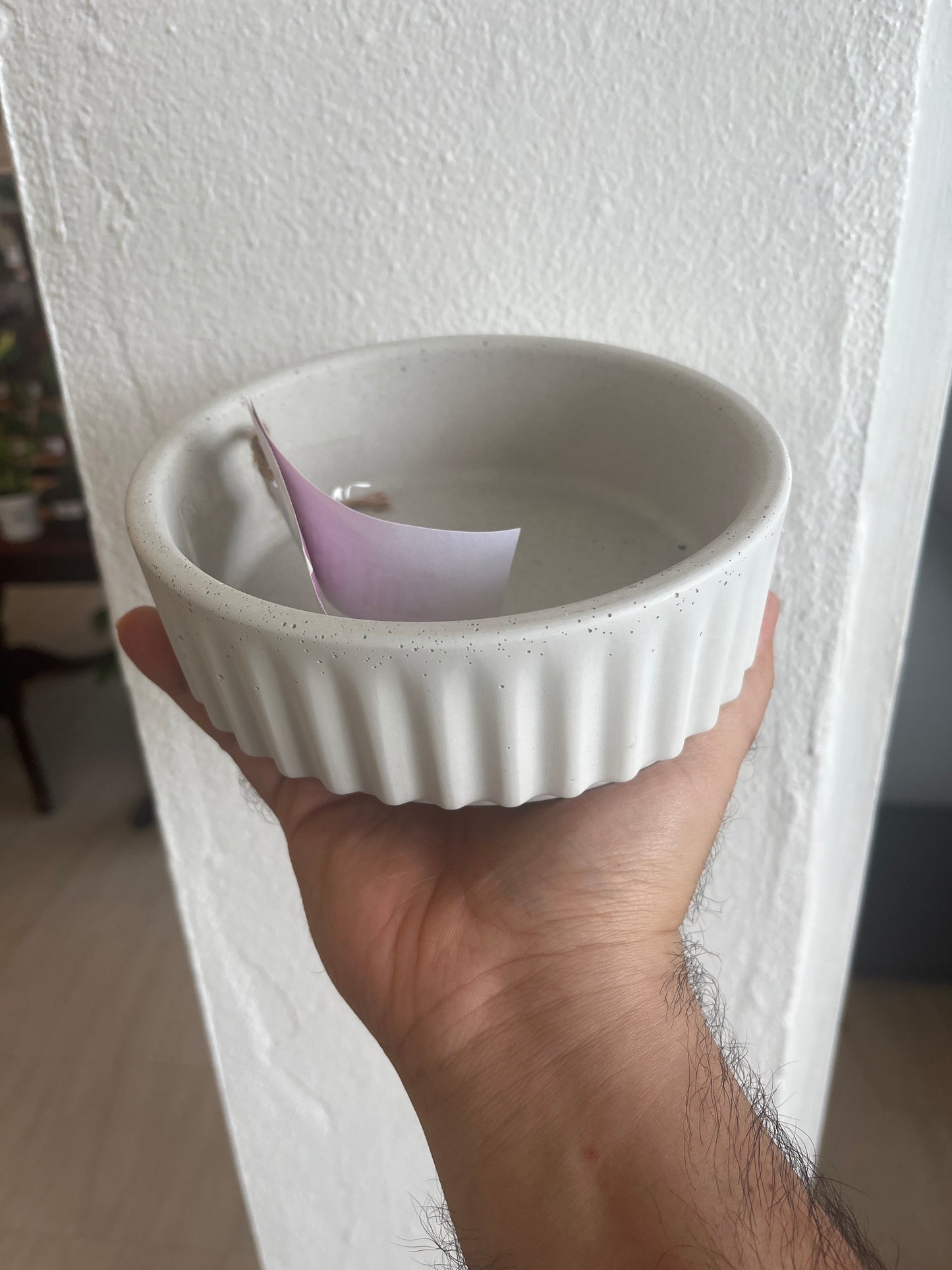 Tannia Pot - Casa Luz