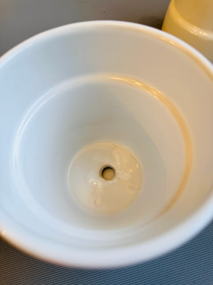 Magnolia Pot 5”