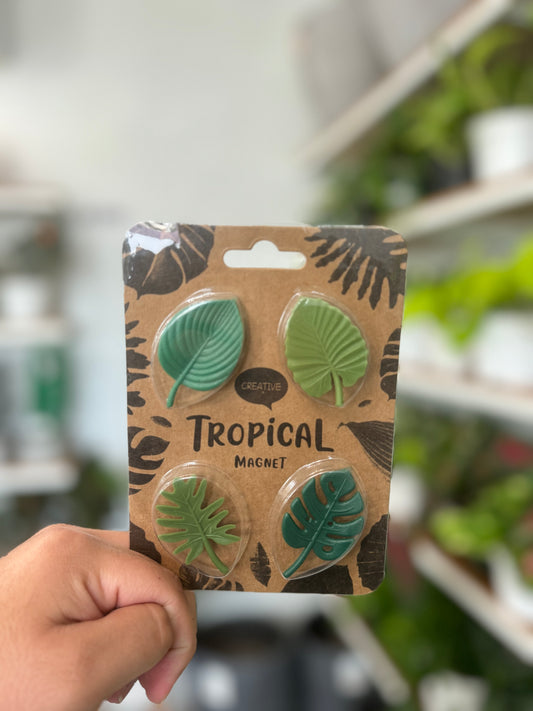 Tropical Leaf Magnet -4 pack