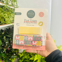 Fungus Gnat Compostable Traps