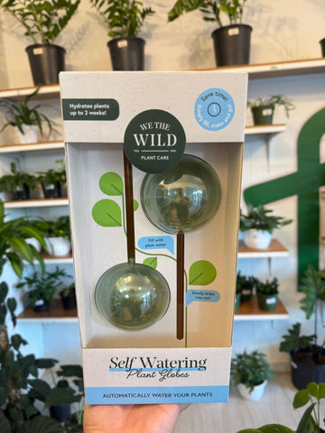 Self Watering Plant Globes