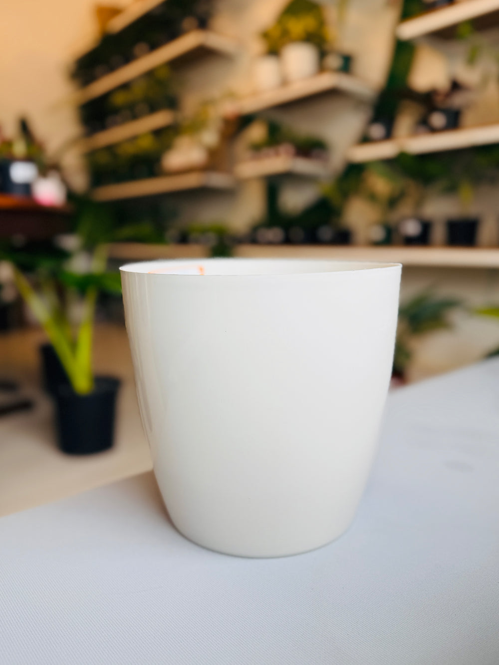 Gloss Planter - Off White 10”