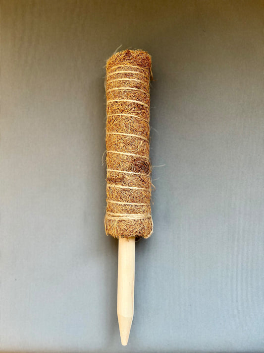 Moss Pole 8”