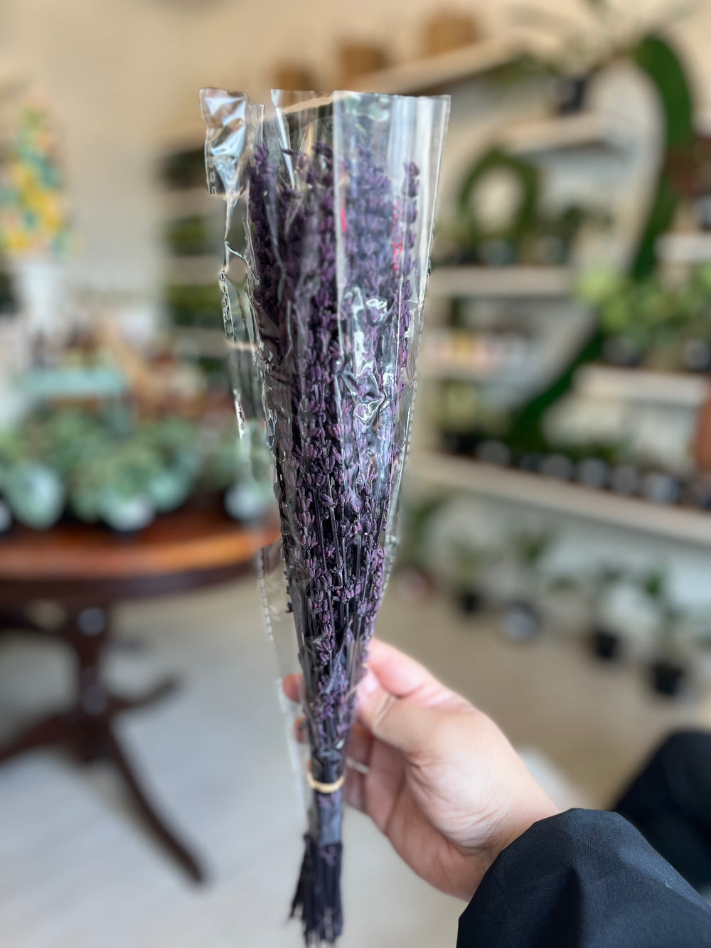 Dried Lavander