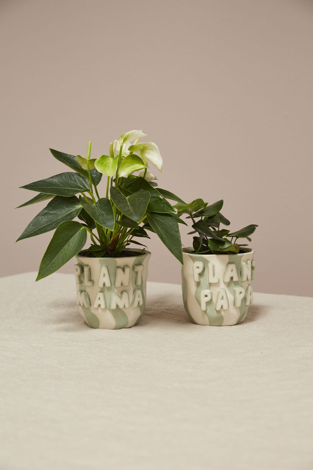 Plant Mama Pot