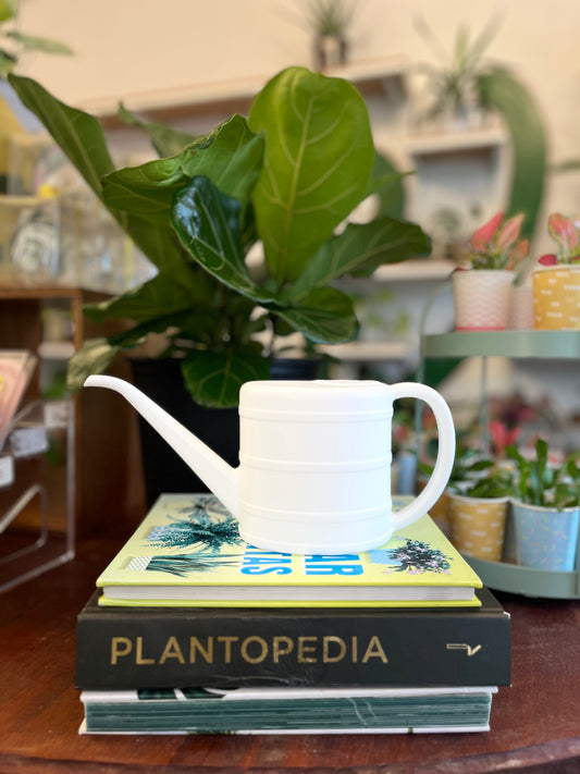 Leah Watering Can - White