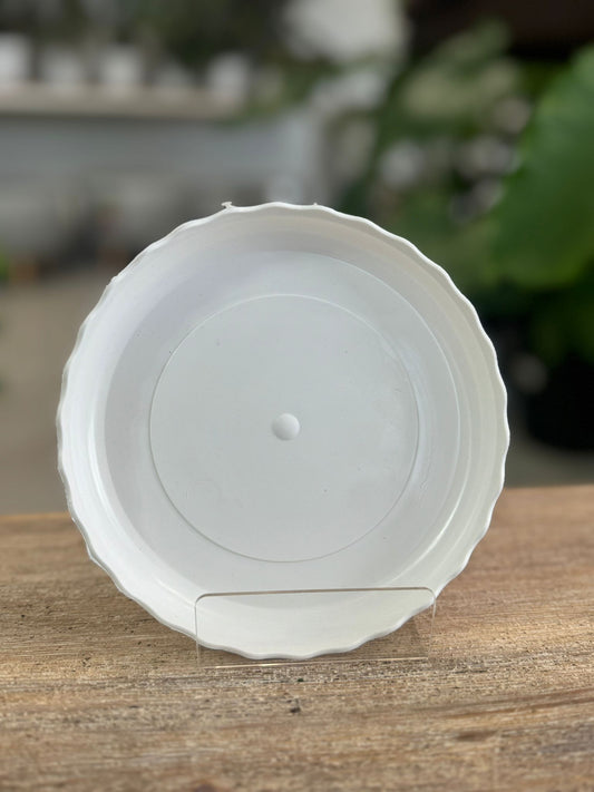 Plant Saucer White